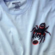 他の写真2: MASSES "T-SHIRTS SPIDER" Color：Sax Blue