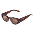 画像1: Porter Classic "KATSU ONASSIS SUNGLASSES" Color：Brown (1)